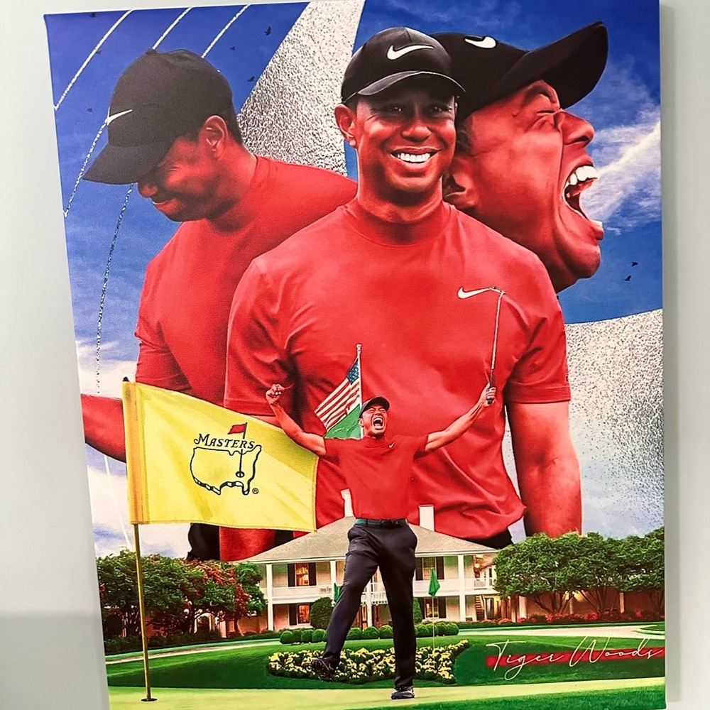 Tiger Woods 16x20 Canvas Art Print